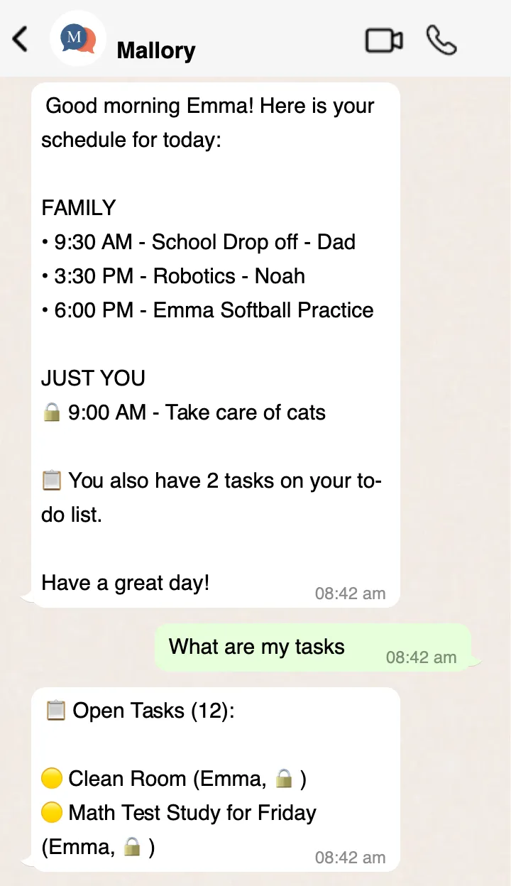 SMS conversation with Mallory showing daily summaries and tasks